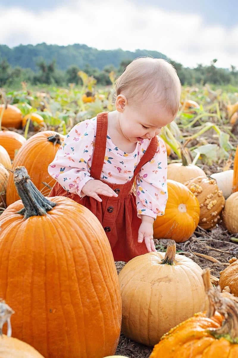 Pumpkins